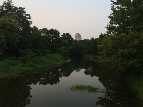 View of the Park Plaza from Forest Park