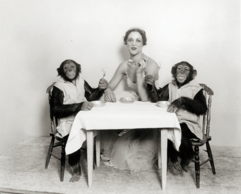 Screen Shot 2015-11-16 at 11.38.31 AM.png